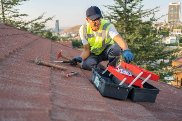 Siding Removal and Disposal in Federal Way, WA